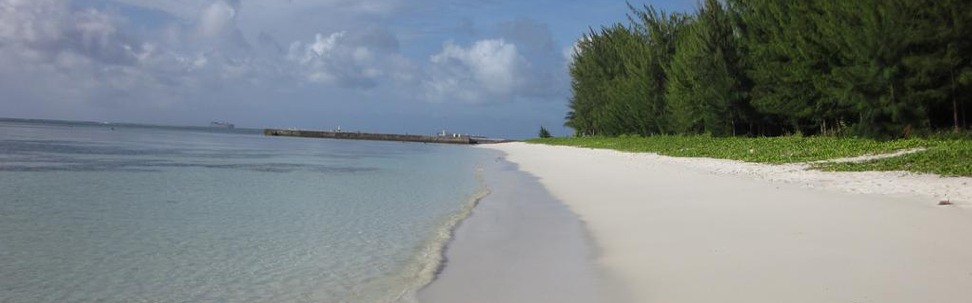 Aquarius Beach Tower Hotel